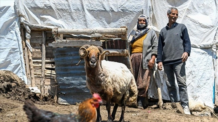 Vanlı besici 30 yıldır 2 bin 500 rakımdaki yaylada koyunlarına bakıyor
