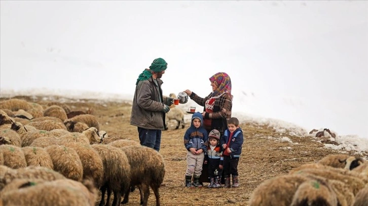 Vanlı çift kışın yalnız kaldıkları mahalleyi hayvanları için terk etmiyor