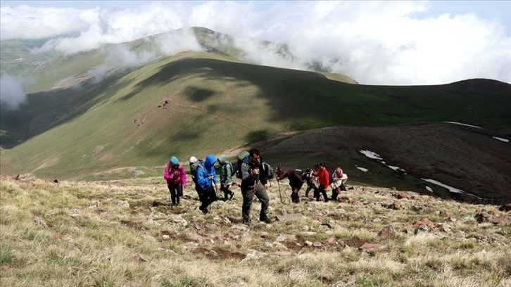 Yağışlarla yeşillenen Aras Dağları doğa tutkunlarını ağırlıyor