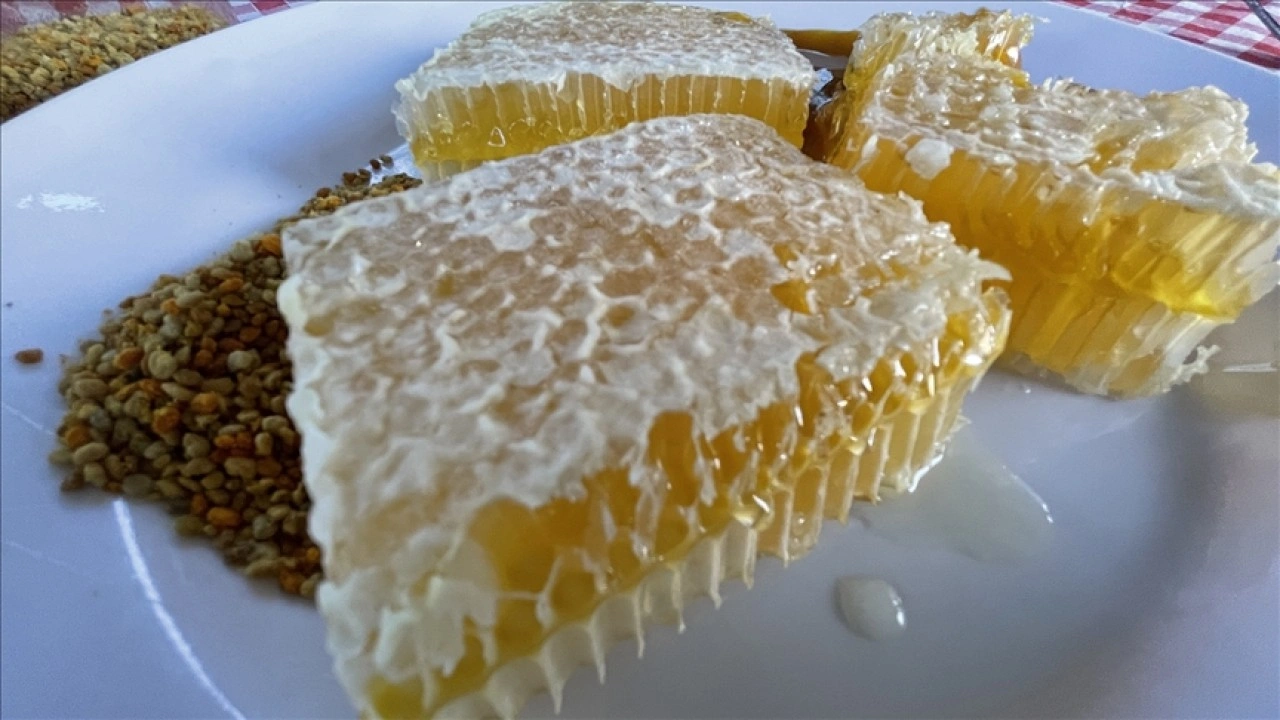 Yenice ıhlamur balı AB'den coğrafi işaret tescili aldı