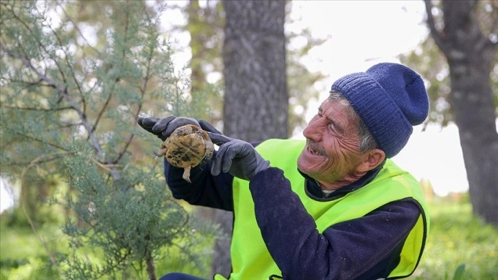 "Yeşil adam" Konya'da herkesin bir ağacı olsun hedefiyle çabalıyor