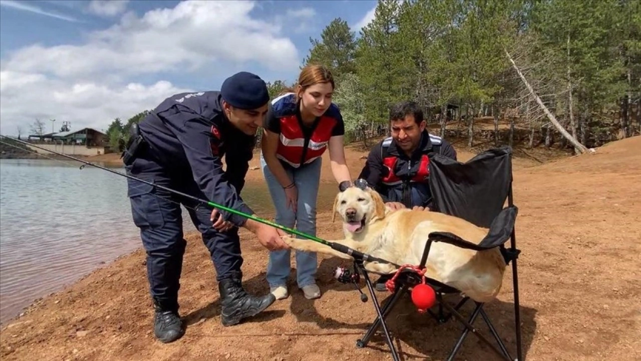 Yozgat'ta jandarmanın iz takip köpeği "Dost" emekli oldu