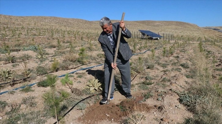 Yozgat'ta doğa gönüllüsü 23 yılda 25 hatıra ormanı oluşturdu