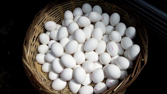 'Yükseliş mevsimsel olarak yumurta tüketimi ve ihracattaki artıştan'