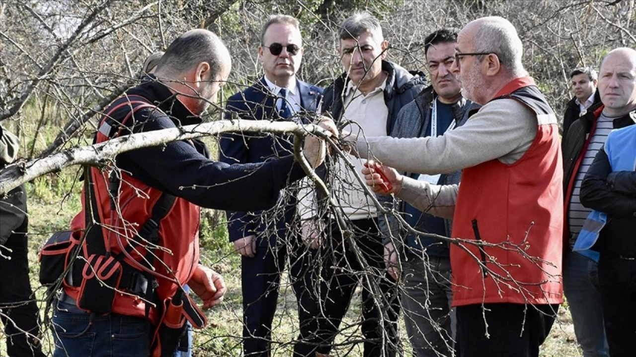 Y&uuml;k&uuml;ml&uuml;ler fındıkta verimin artması i&ccedil;in aldıkları eğitimle &uuml;retime katkı sunacak