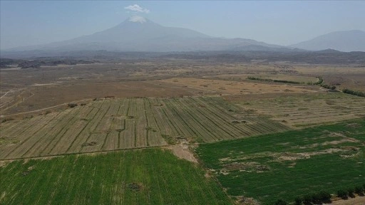 1000 dönümlük taşlık alanı 8 yılda tarım arazisine dönüştürdü