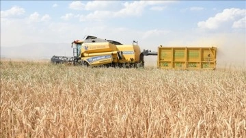 12 bin 279 çiftçinin hibe desteği aldığı Erzurum'da tarımsal üretim arttı