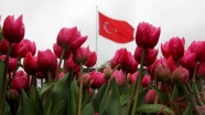 12. İstanbul Lale Festivali başladı