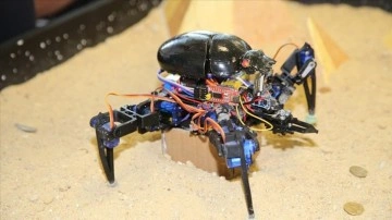 15. Uluslararası MEB Robot Yarışması başlıyor