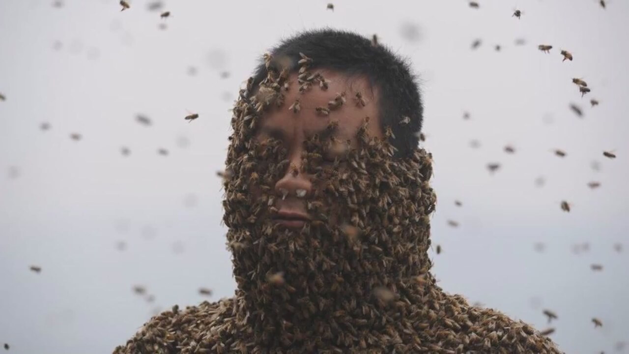 Cesaret mi ahmaklık mı!.. Korkusuz arıcı vucüdunu arılara sardırdı