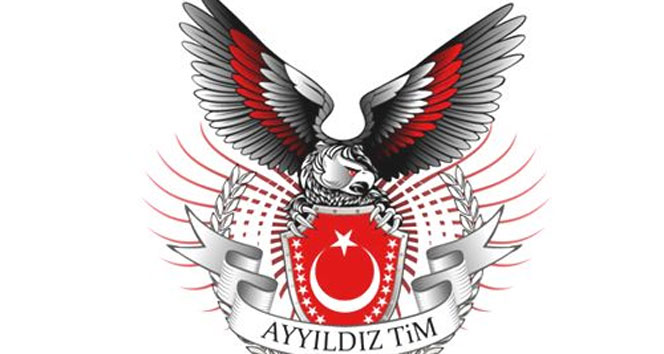 Ayyıldız TİM, Alman sitelerini hackledi