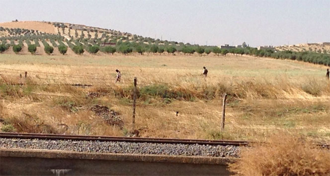 IŞİD Karkamış sınırına mayın döşedi