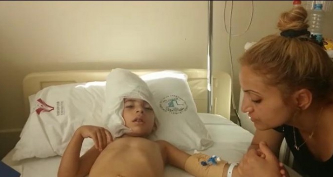 Pıtbullun kulağını kopardığı çocuk ameliyat oldu