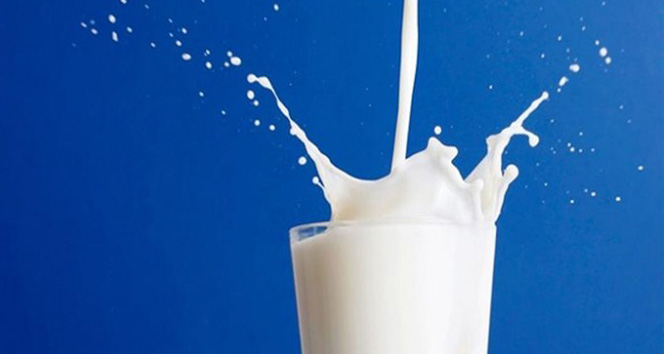 Toplanan süt miktarı Haziran'da arttı