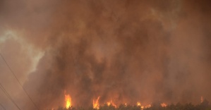 Bursa’daki orman yangınında sabotaj şüphesi
