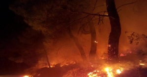 Edremit’te orman yangınları