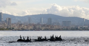 İstanbul’un kayıp adası gün yüzüne çıkıyor