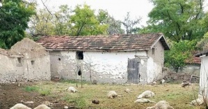 Sürüye kurt saldırdı: 46 hayvan telef oldu