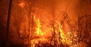 250 hektar ormanlık alan yandı