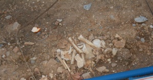 Taksim’deki çalışmalarda kemik ve kafatası bulundu
