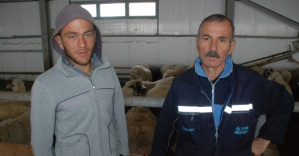 Aradığı çobanı Gürcistan’da buldu
