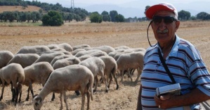 Çoban ihtiyacı için ’100 bin Suriyeli’ önerisi