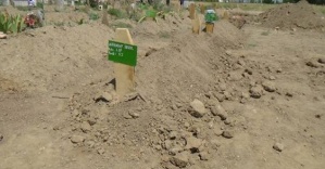 Erzincan’daki mezar taşı bile ’yeşil’ ama...