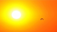 '2016 gezegenin en sıcak yılı' olarak ilan edildi