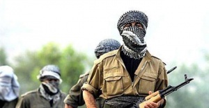 Sur’da 3 PKK’lı öldürüldü