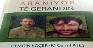 Başına 1 milyon lira ödül konulan PKK’lı ölü ele geçirildi