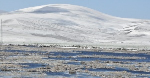 Ekili alanları kar vurdu