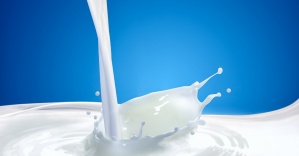 180 bin ton çiğ süt, süt tozuna dönüştürülecek