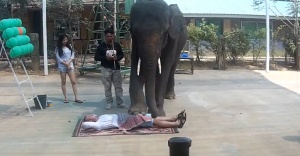 Taylandlılar masaj işini abarttı !