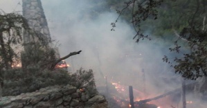 Bungalov evlerin bulunduğu koyda yangın