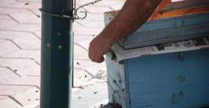 Kovandan firar eden arılar şehir merkezine indi