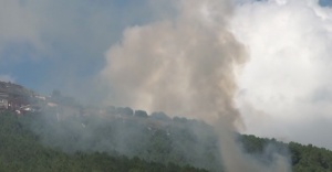 İstanbul’da 3 ayrı noktada orman yangını