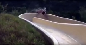 Su kayağı yaparken inanılmaz kaza !