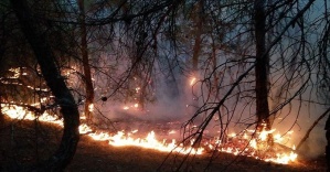 Çorum'da 60 hektar ormanlık alan yandı
