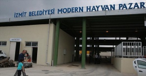 İstanbullular için İzmit&#039;te alternatif modern kurbanlık pazarı