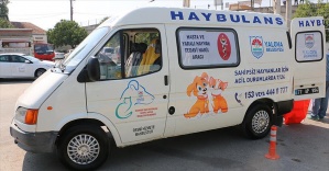 Yalova'da hayvan ambulansı "haybulans" hizmete girdi