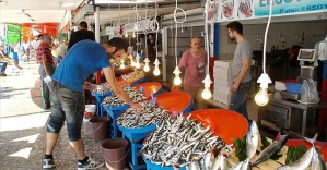 Balıkçılar 'vira bismillah' dedi tezgahlar şenlendi