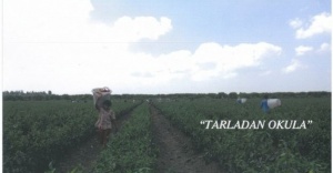 CarrefourSA’dan UNICEF’in “Tarladan Okula“ projesine destek