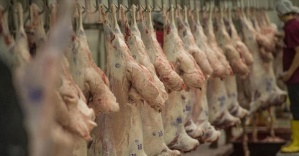 Türk Kızılayı 30 ülkede kurban eti dağıtacak

