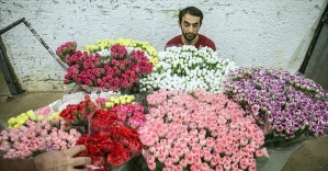 Türkiye'nin çiçekleri dünyayı süslüyor
