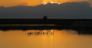 Flamingolardan gün batımında görsel ziyafet