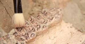 Kayseri&#039;de 9 milyon yıllık zürafa fosili bulundu