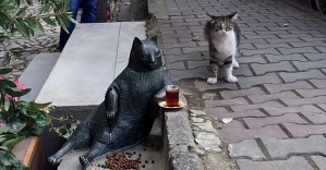Oturuşuyla ünlenen kedi Tombili'nin heykeli açıldı
