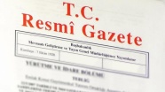 2017 yılı 'Türk Dili Yılı' ilan edildi
