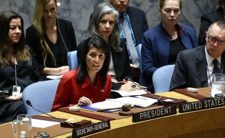 ABD'den BM Güvenlik Konseyine 'Suriye ve Kuzey Kore' çağrısı