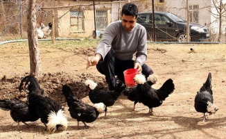Beşiktaş sevgisi yetiştirdiği tavuklara da yansıdı